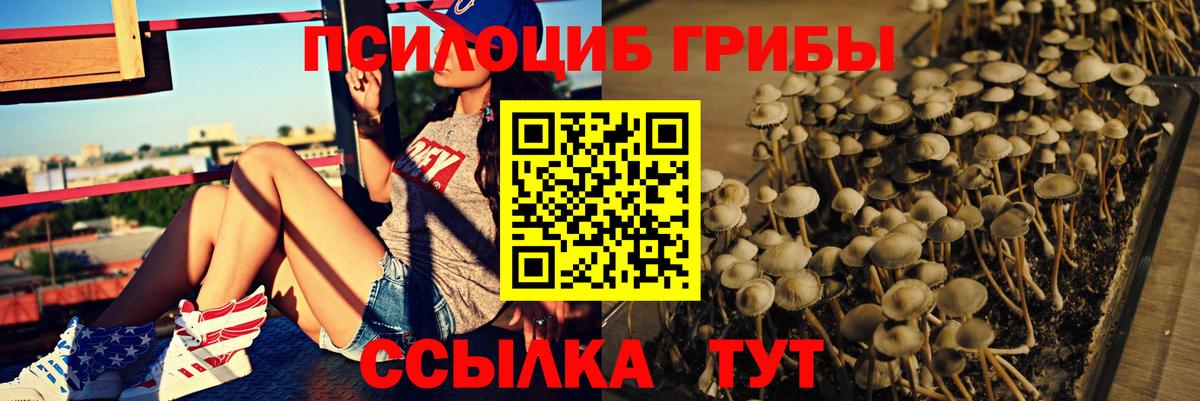 купить закладку  Псилоцибиновые грибы Psilocybine cubensis  Вход с VPN  Красный Сулин 