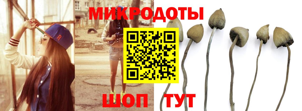 Псилоцибиновые грибы мицелий Красный Сулин